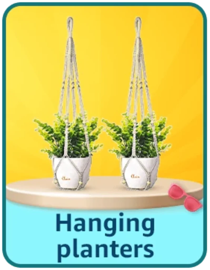 hanging planters offers