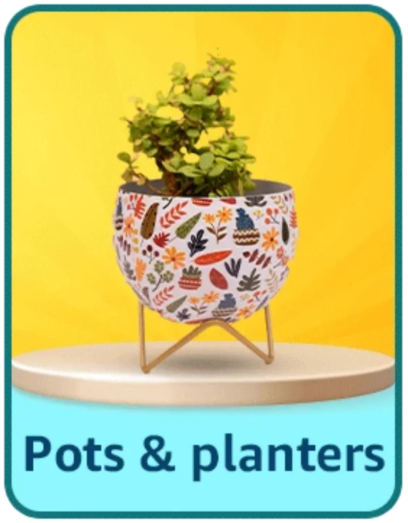 pots and planters offers