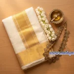 മികച്ച 15 ഓണം സാരികൾ (Onam Sarees): ട്രെൻഡി ലുക്കും പരമ്പരാഗത ഭംഗിയും ഒന്നിക്കുന്ന ഡിസൈനുകൾ